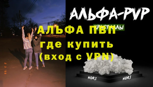 индика Алексин