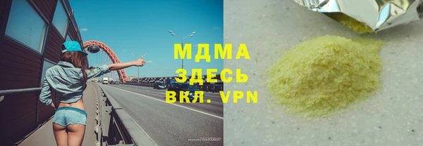 индика Алексин