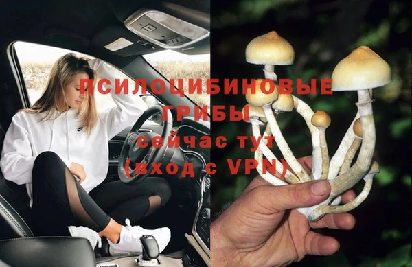 стаф Алексеевка